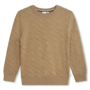 Hugo Boss Stone Sweater