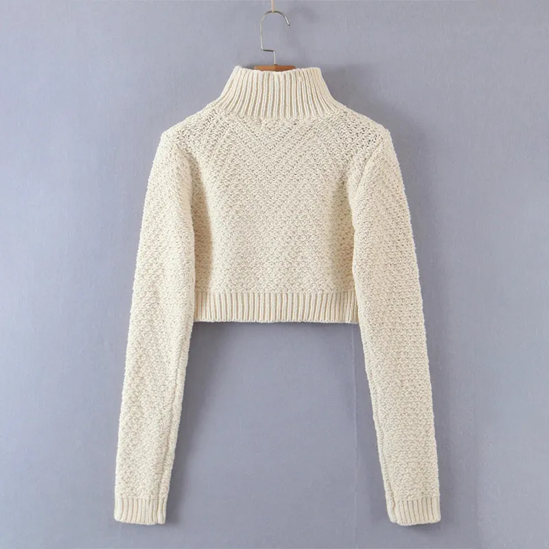 Knitted Turtleneck Long Sleeve Pullover Crop Top Sweaters