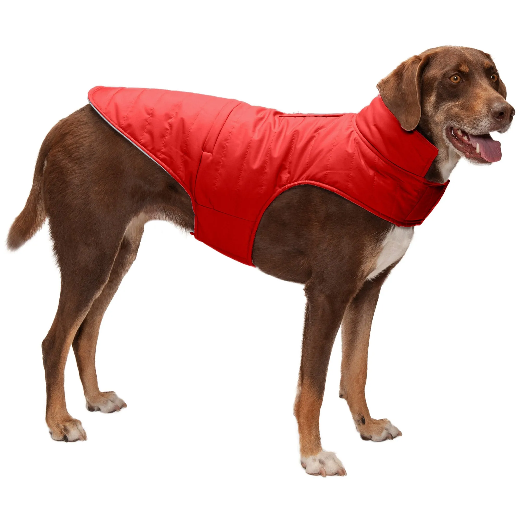 Reversible Reflective Puffer Dog Coat