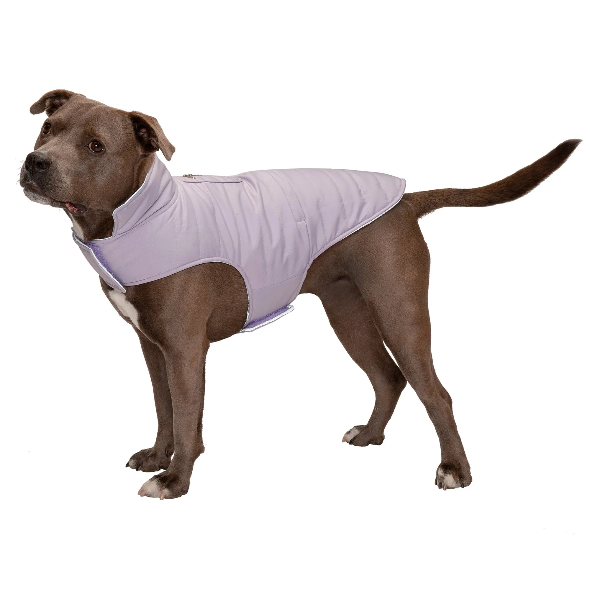 Reversible Reflective Puffer Dog Coat