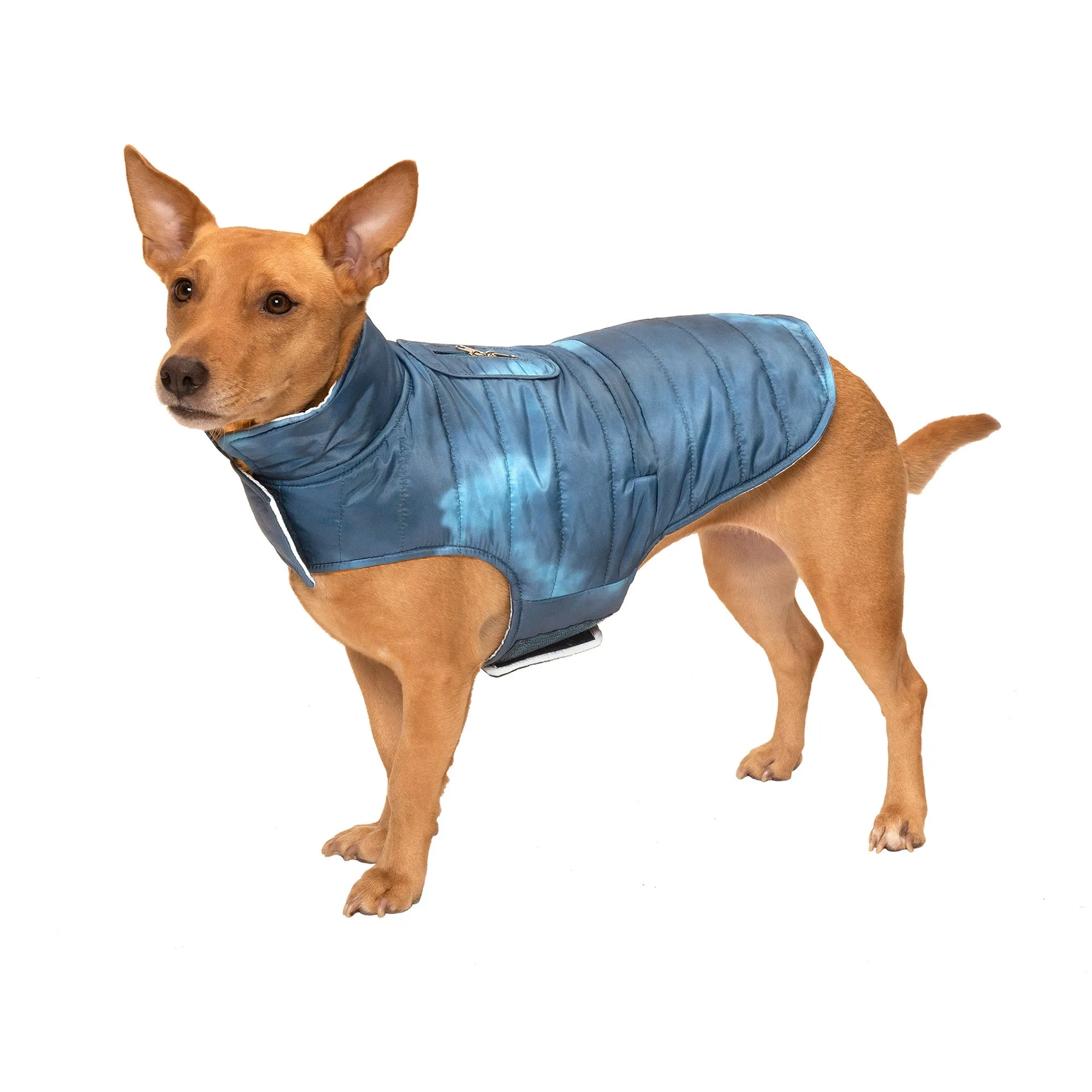 Reversible Reflective Puffer Dog Coat