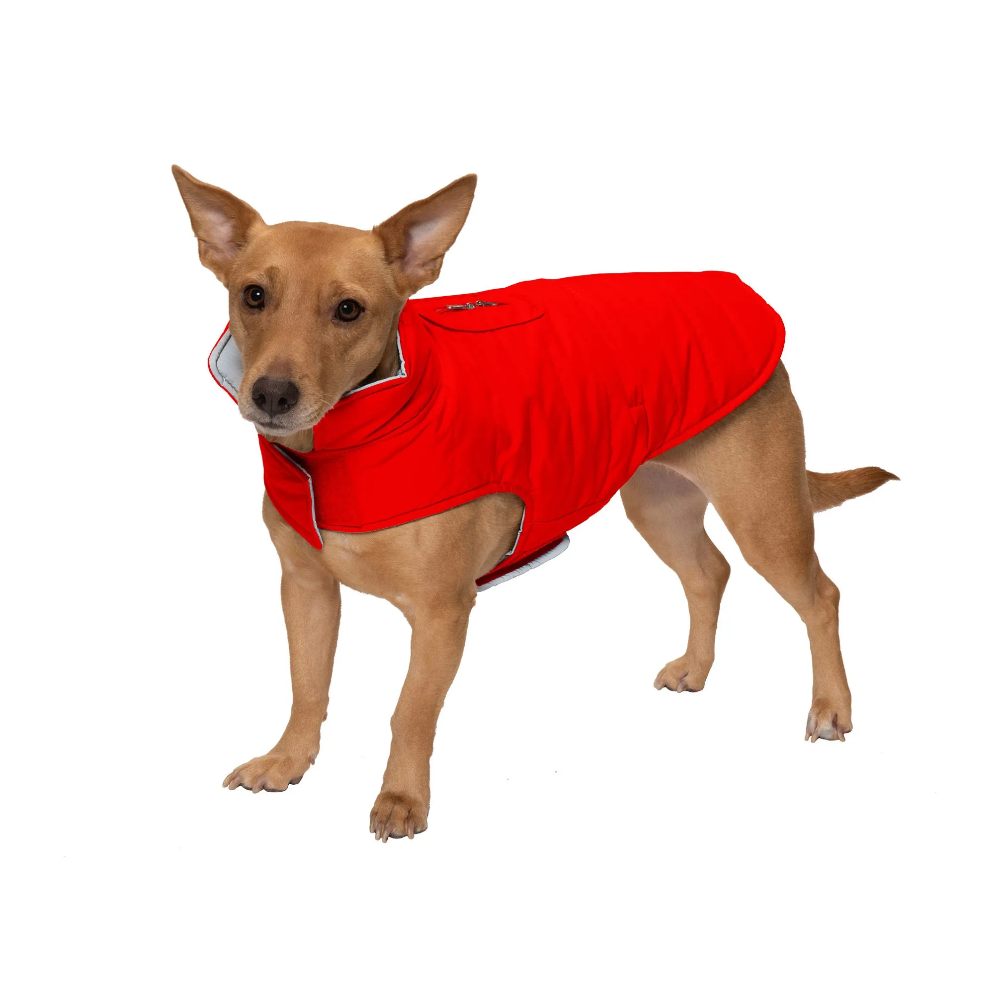 Reversible Reflective Puffer Dog Coat