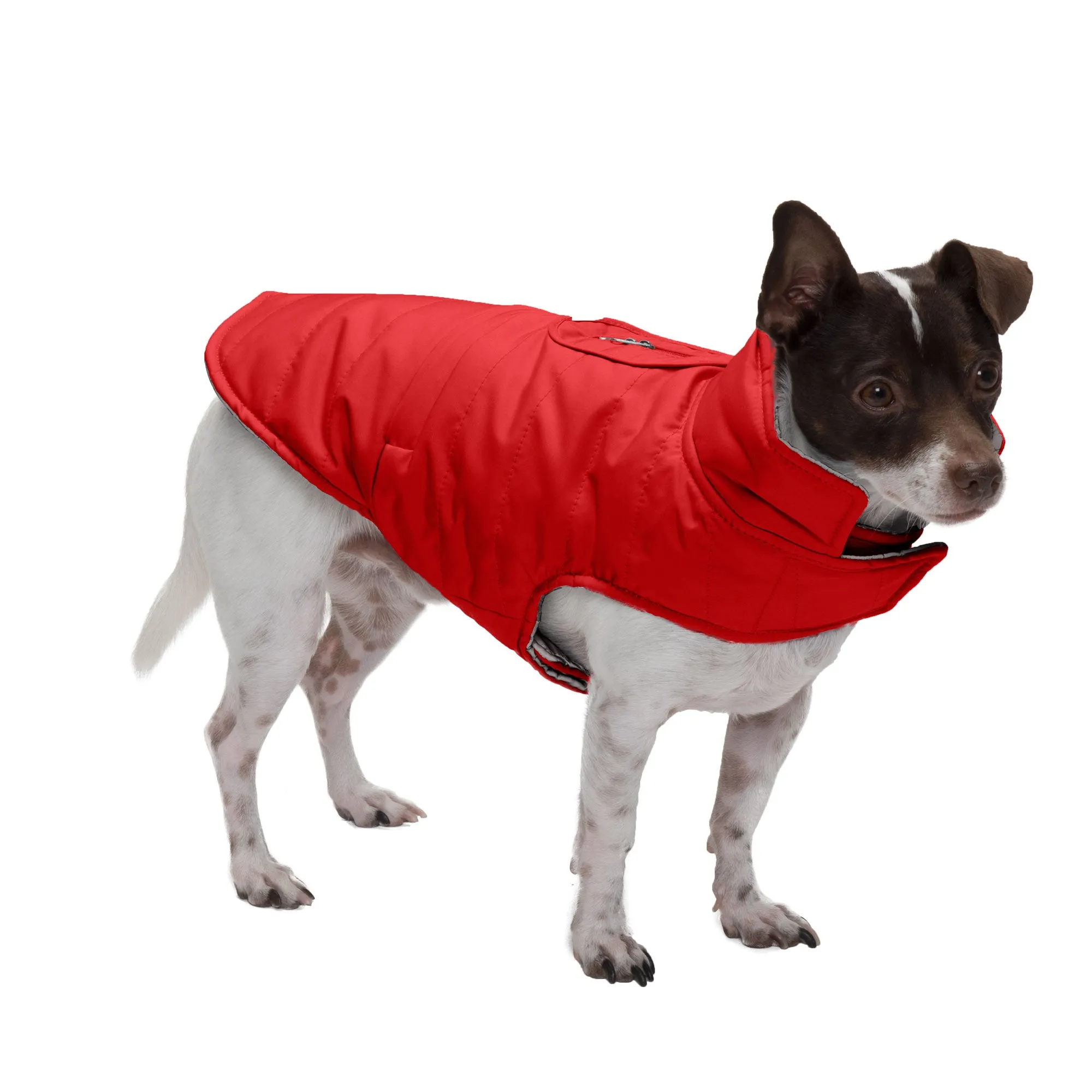 Reversible Reflective Puffer Dog Coat