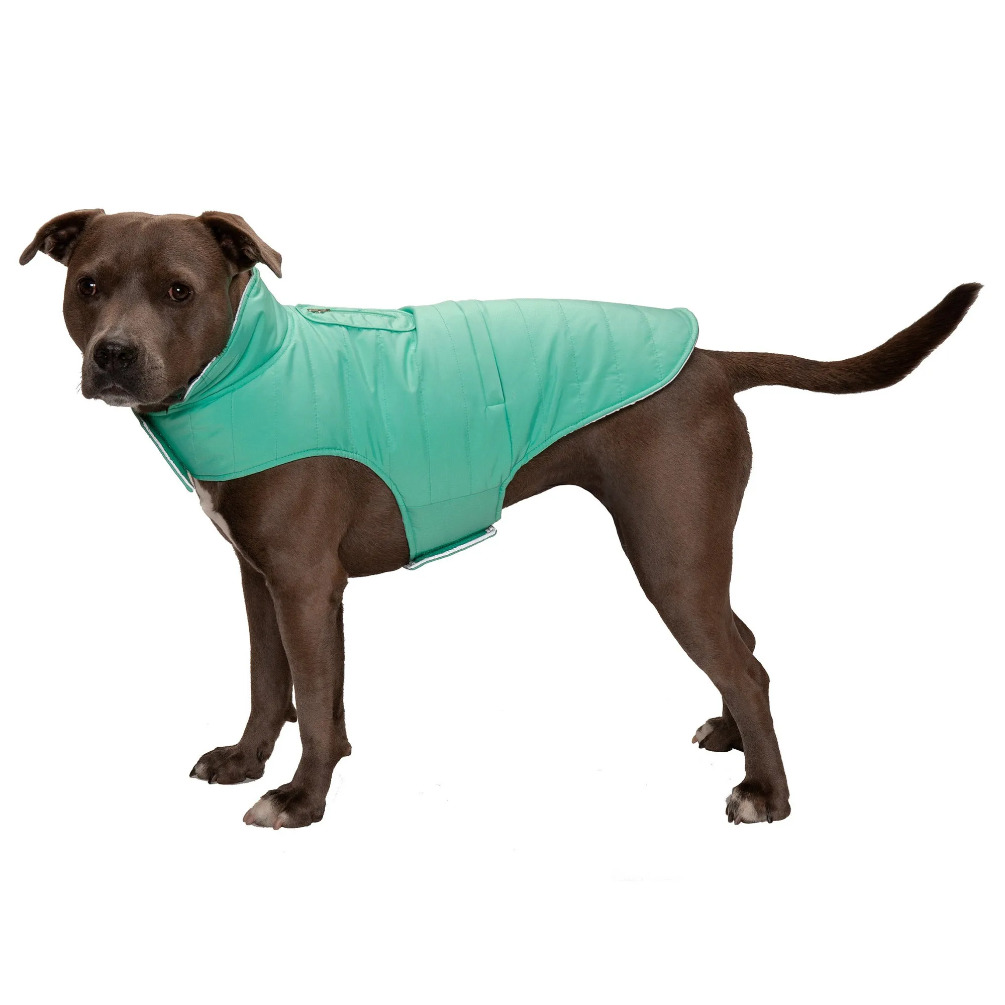 Reversible Reflective Puffer Dog Coat