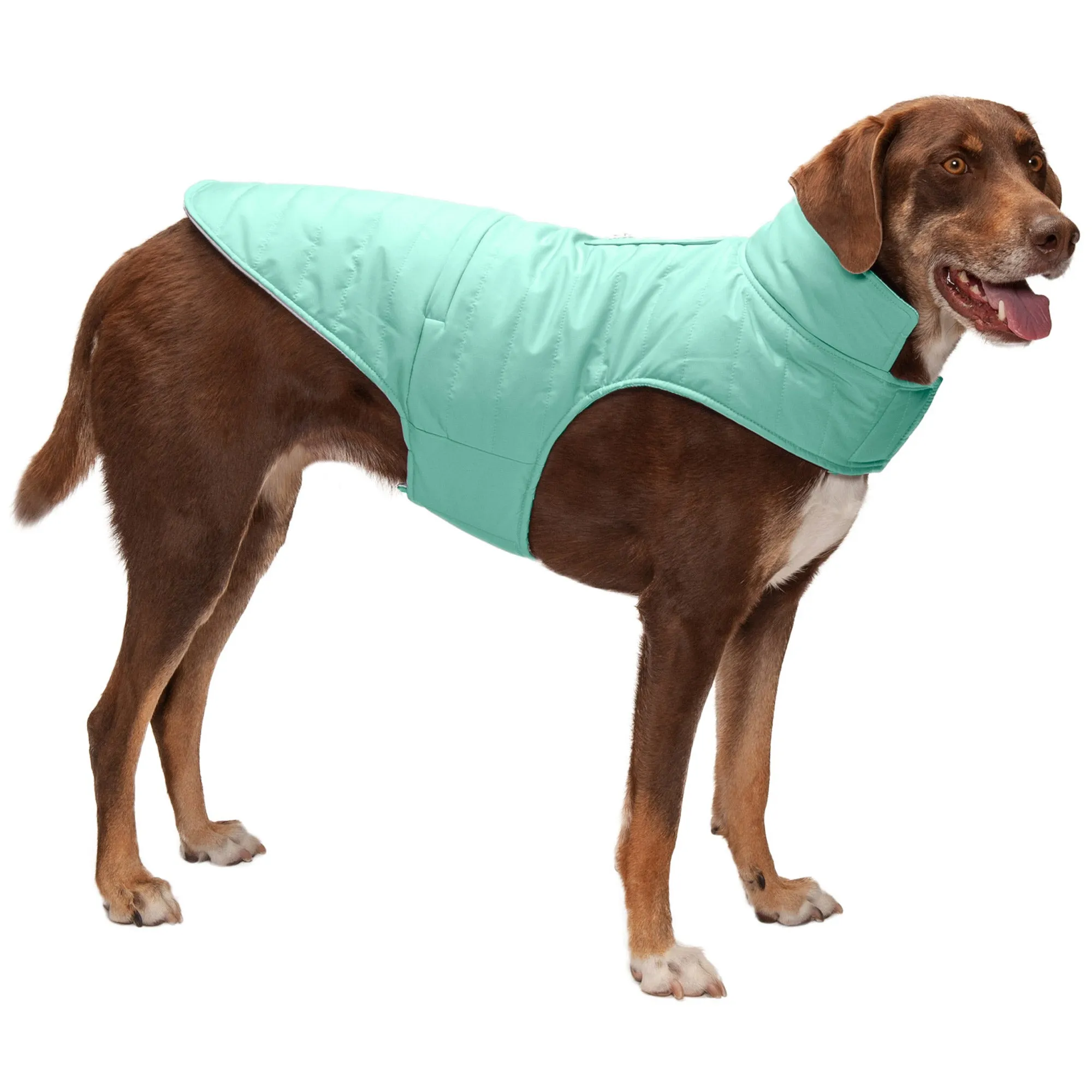 Reversible Reflective Puffer Dog Coat