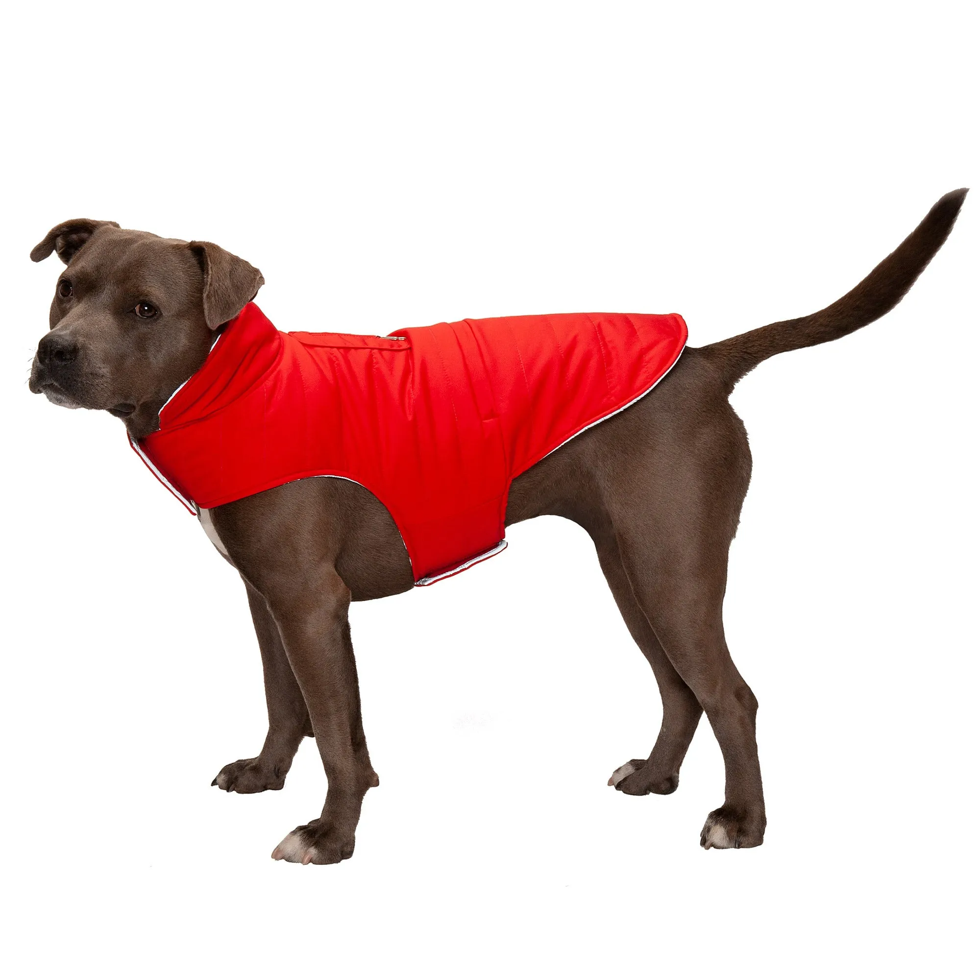 Reversible Reflective Puffer Dog Coat