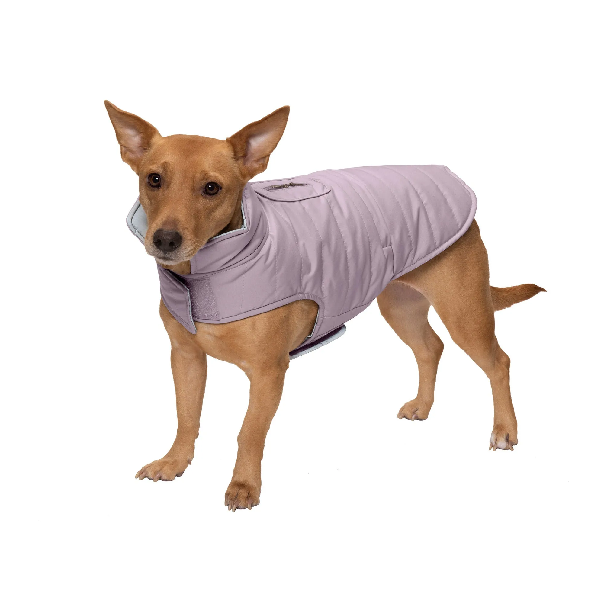 Reversible Reflective Puffer Dog Coat