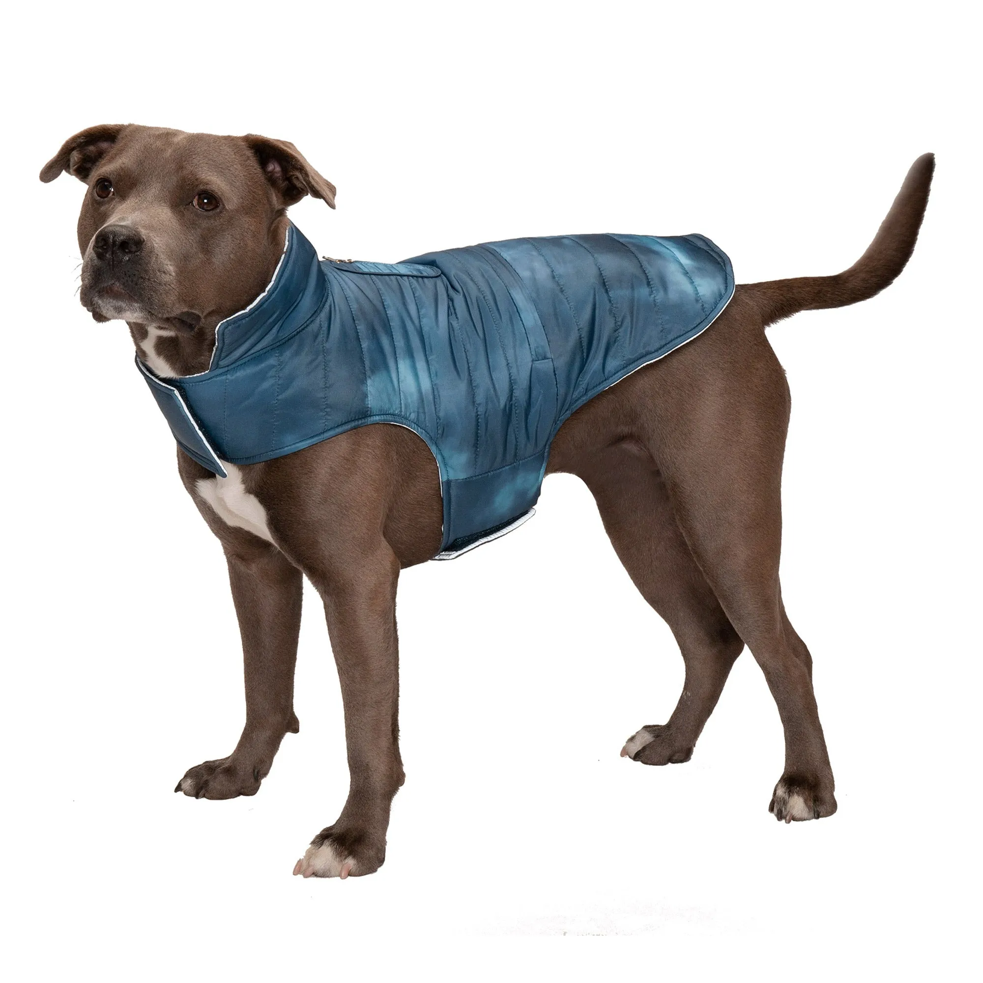 Reversible Reflective Puffer Dog Coat