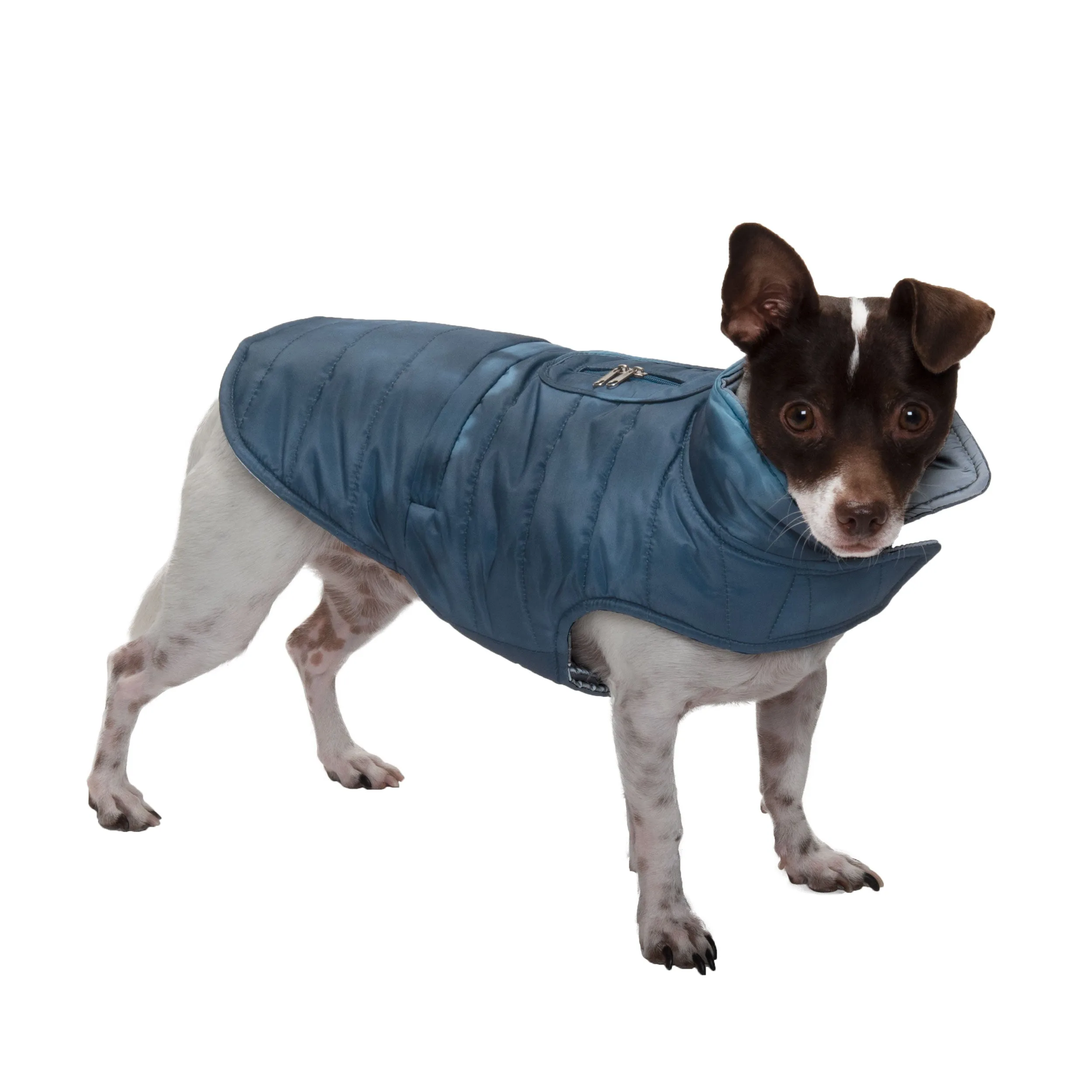 Reversible Reflective Puffer Dog Coat