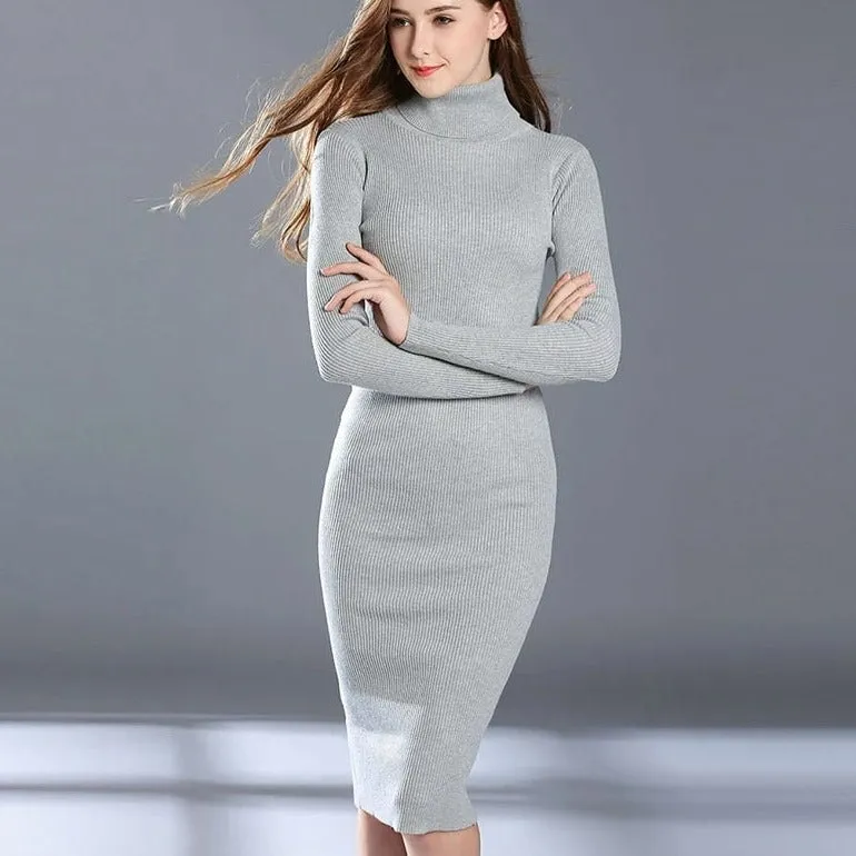 Turtleneck Knitted Sheath Dress