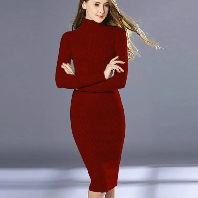 Turtleneck Knitted Sheath Dress