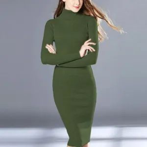 Turtleneck Knitted Sheath Dress