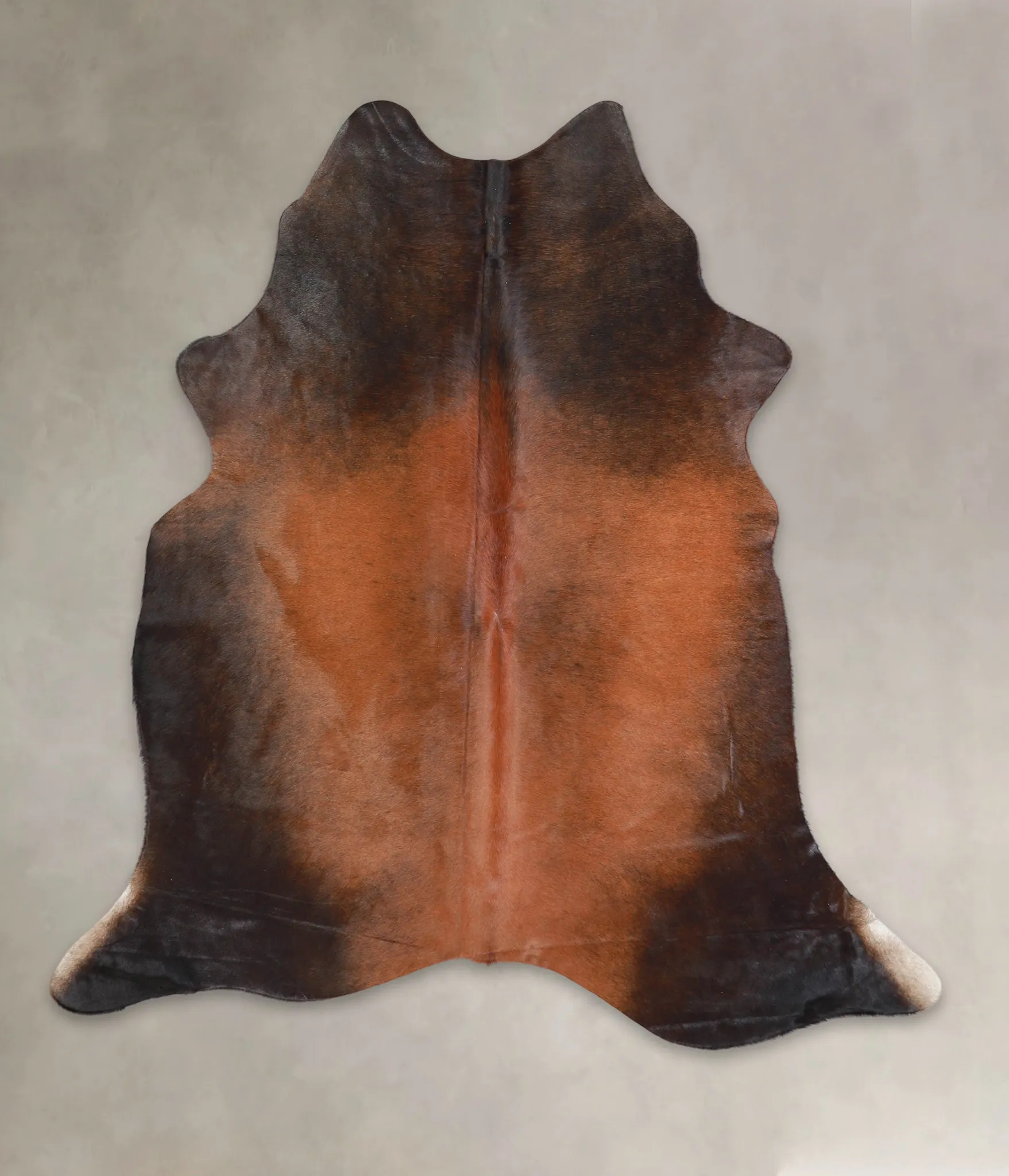 Warm Caramel Large Brazilian Cowhide Rug 6'1"H x 5'8"W #A25751 by Hudson Hides