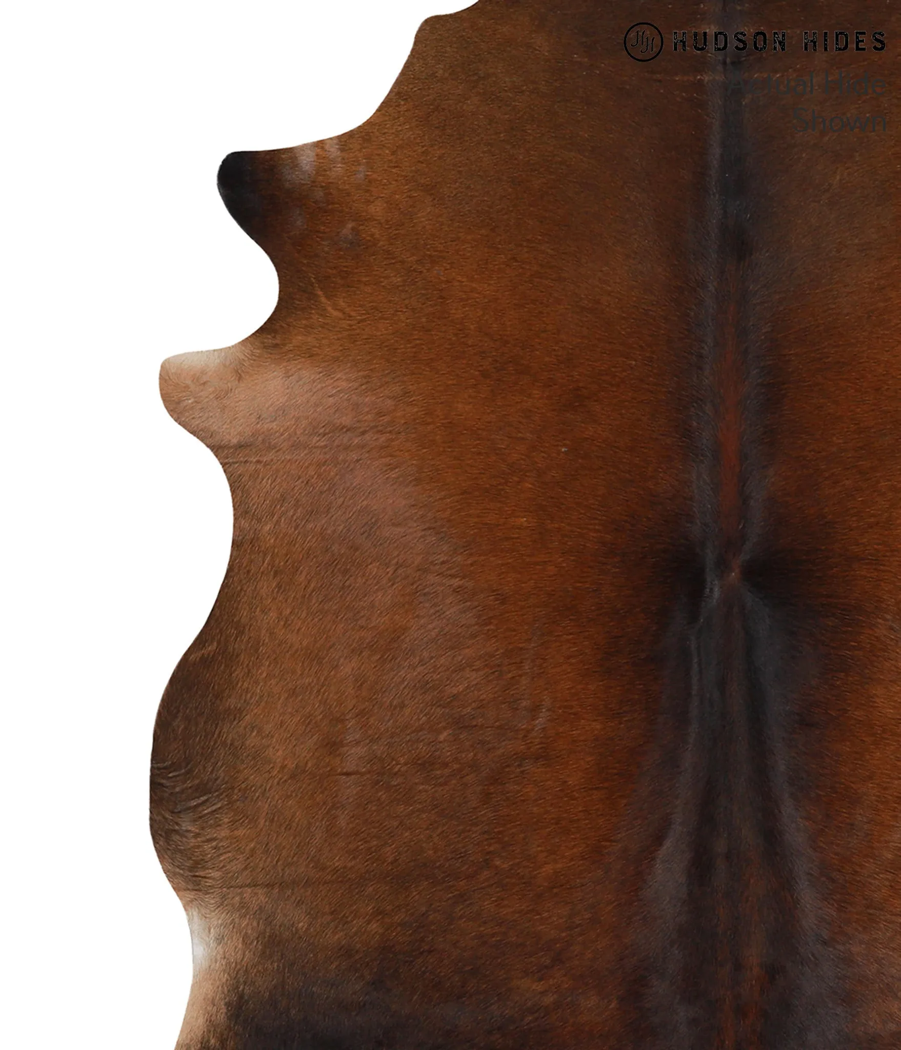 Warm Caramel X-Large Brazilian Cowhide Rug 6'10"H x 6'3"W #66829 by Hudson Hides