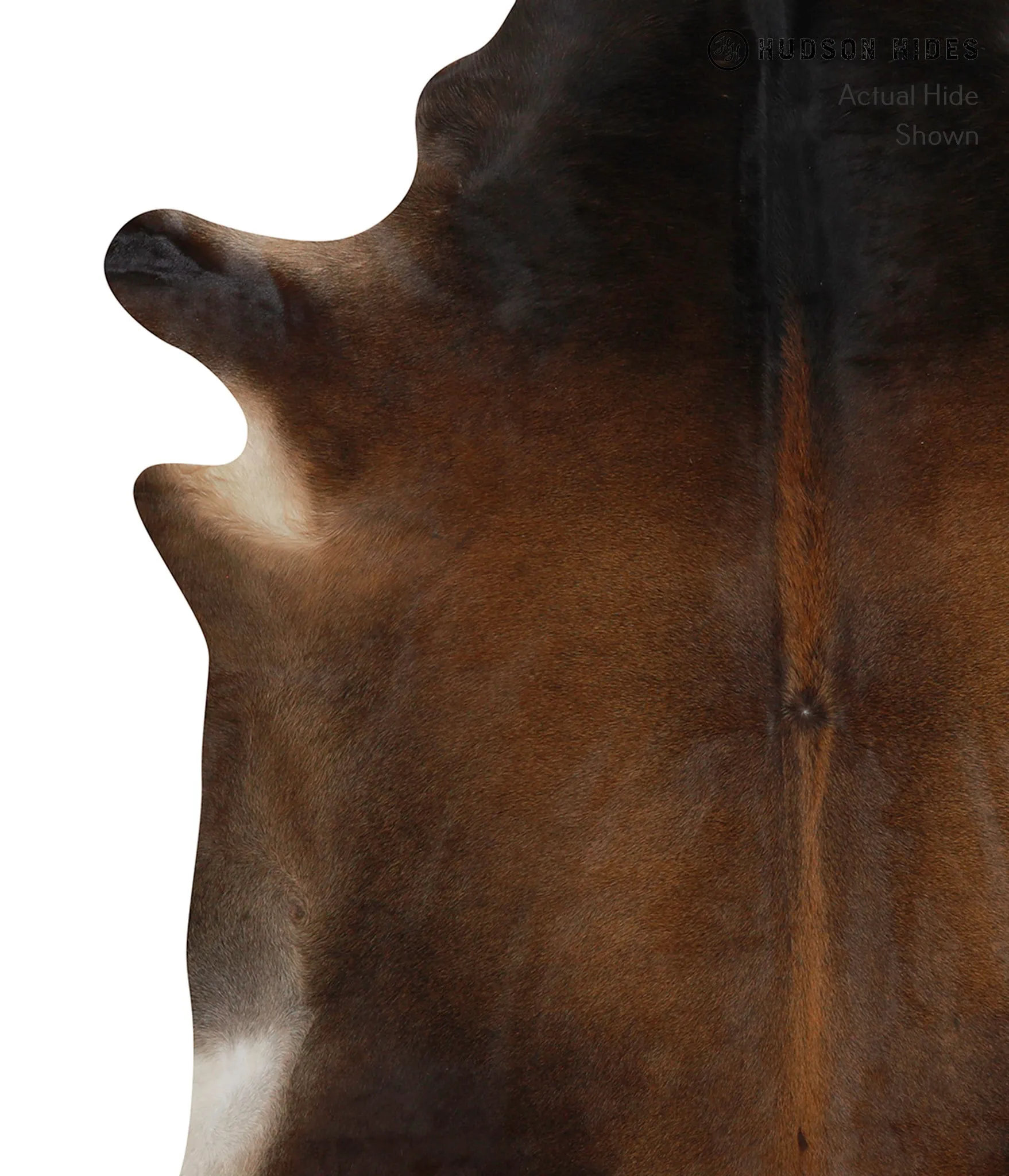 Warm Caramel X-Large Brazilian Cowhide Rug 6'11"H x 6'5"W #83018 by Hudson Hides