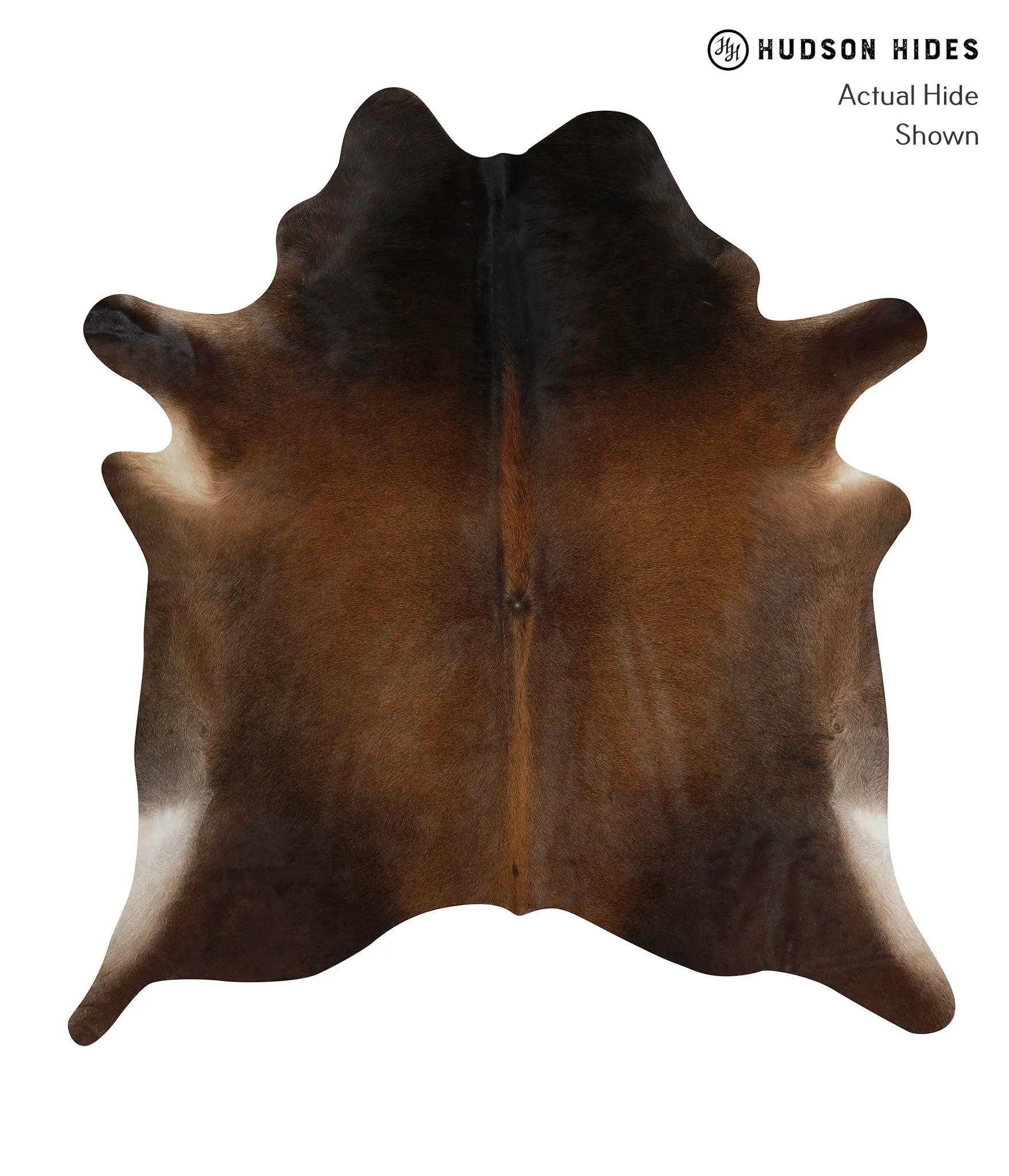 Warm Caramel X-Large Brazilian Cowhide Rug 6'11"H x 6'5"W #83018 by Hudson Hides