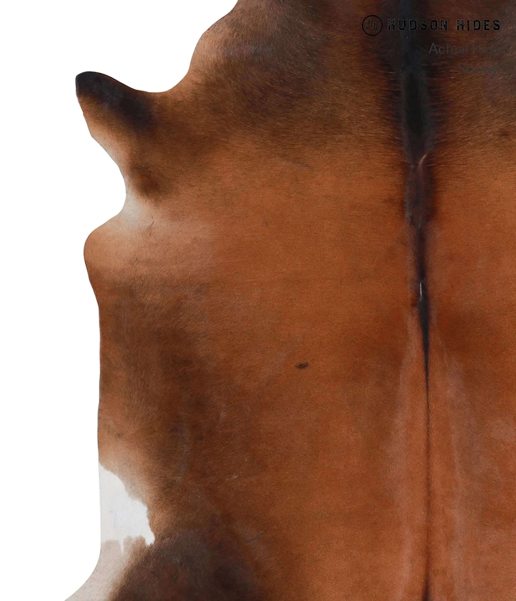 Warm Caramel X-Large Brazilian Cowhide Rug 6'11"H x 7'0"W #A5552 by Hudson Hides