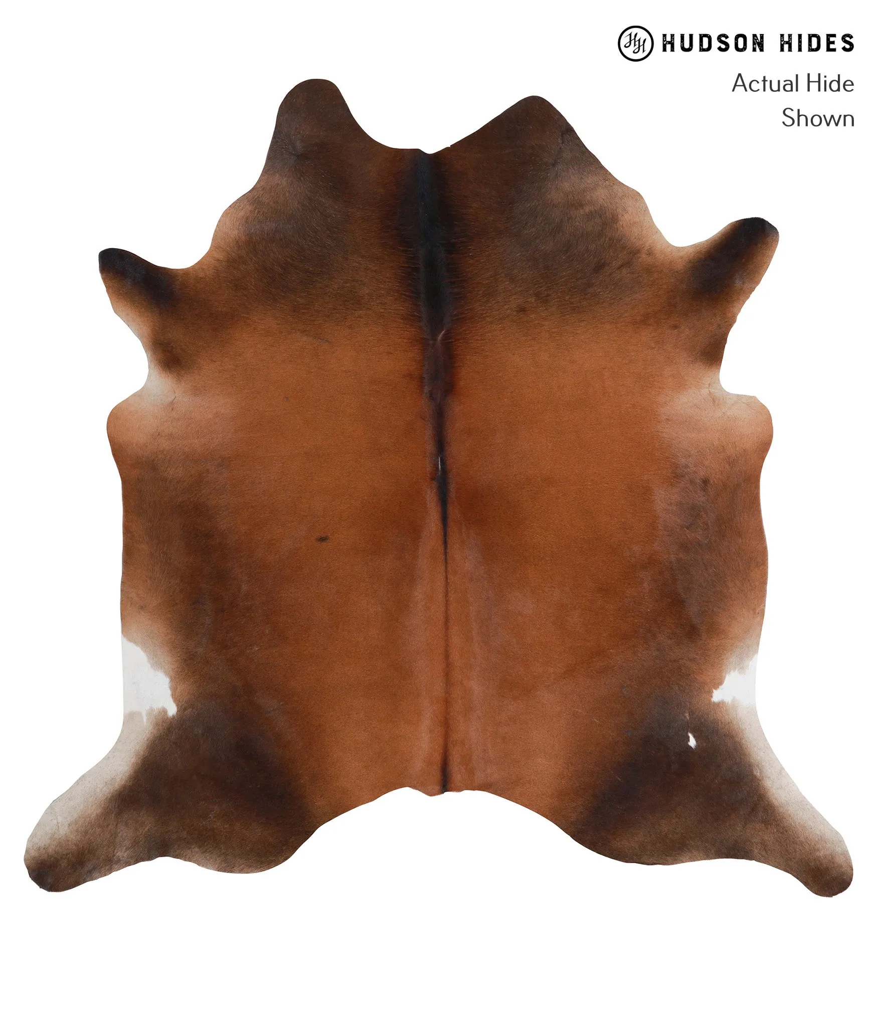 Warm Caramel X-Large Brazilian Cowhide Rug 6'11"H x 7'0"W #A5552 by Hudson Hides