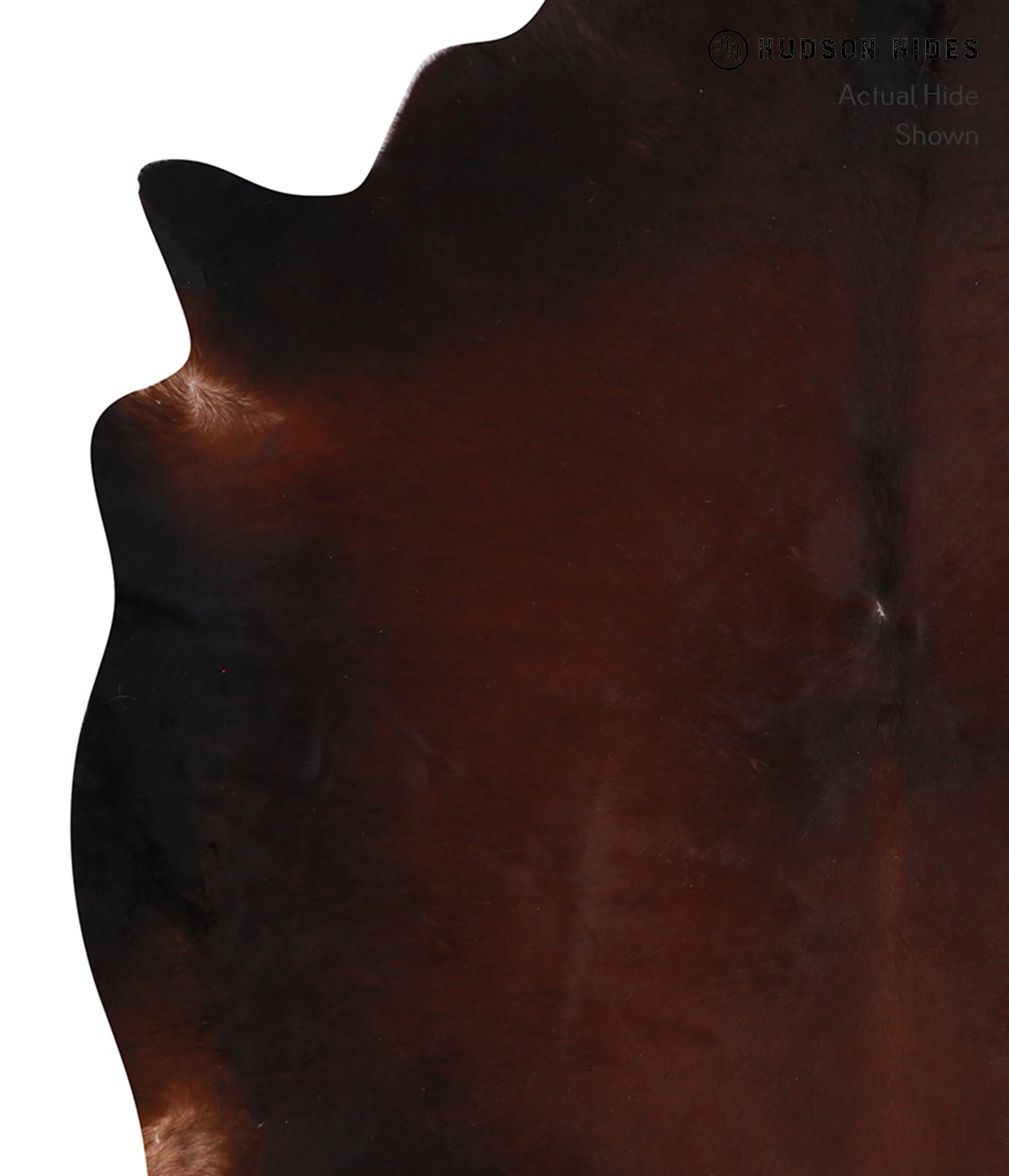 Warm Caramel X-Large Brazilian Cowhide Rug 6'3"H x 6'9"W #A7387 by Hudson Hides