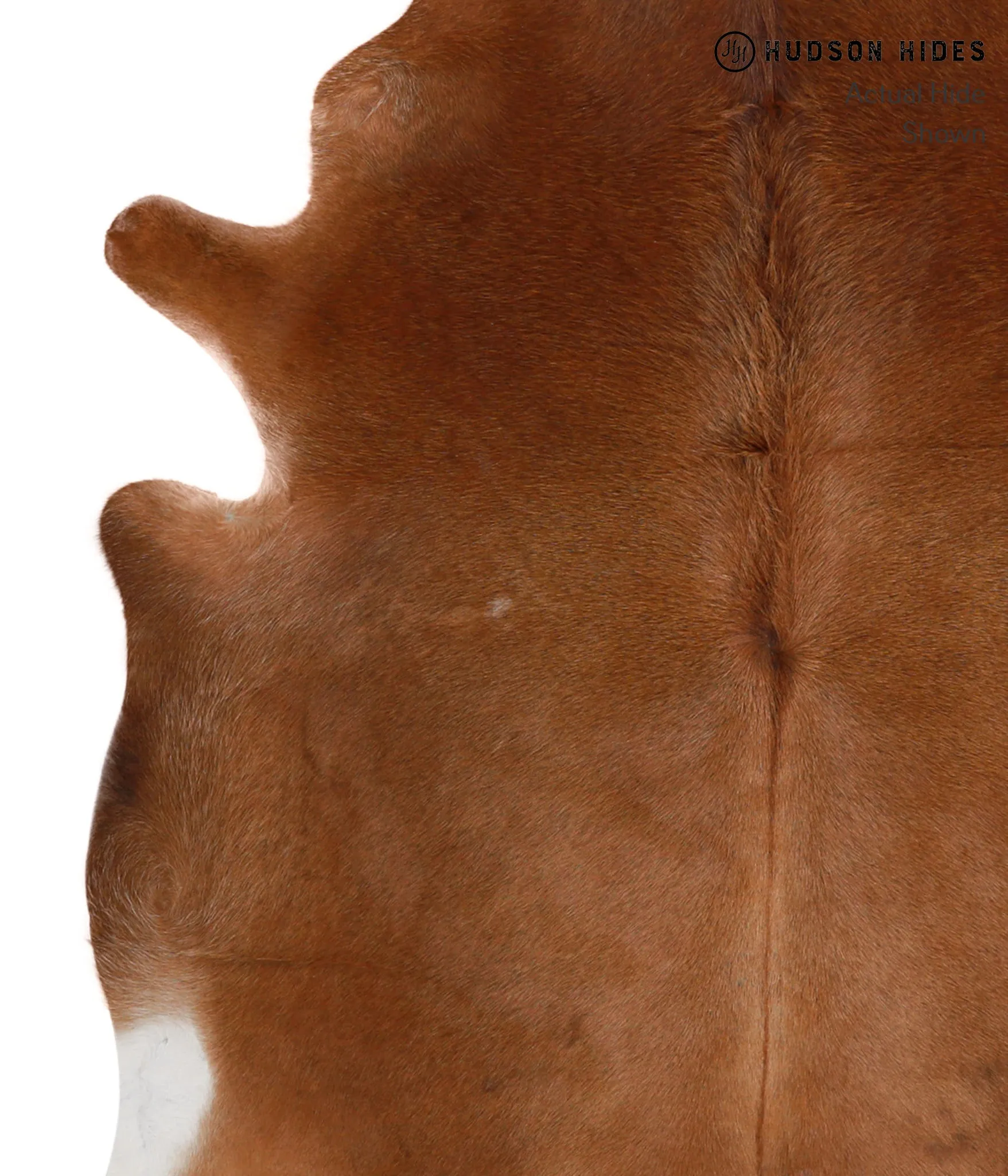 Warm Caramel X-Large Brazilian Cowhide Rug 6'6"H x 6'6"W #83774 by Hudson Hides