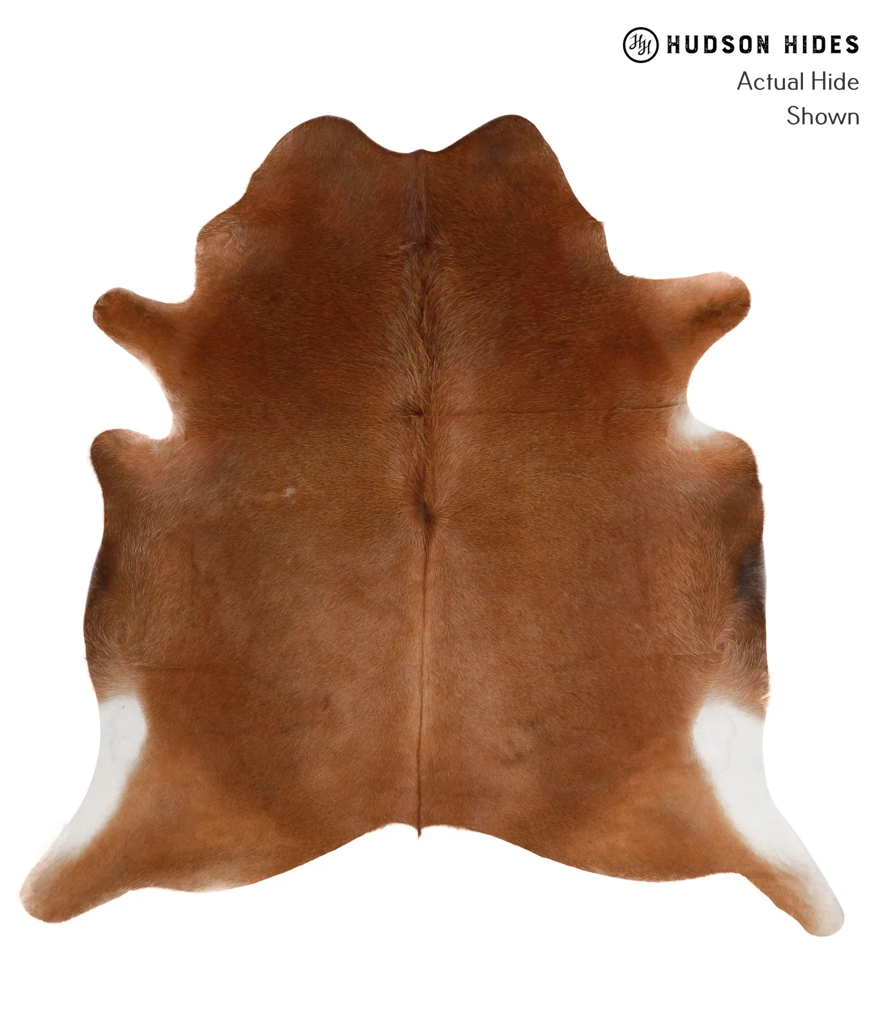 Warm Caramel X-Large Brazilian Cowhide Rug 6'6"H x 6'6"W #83774 by Hudson Hides