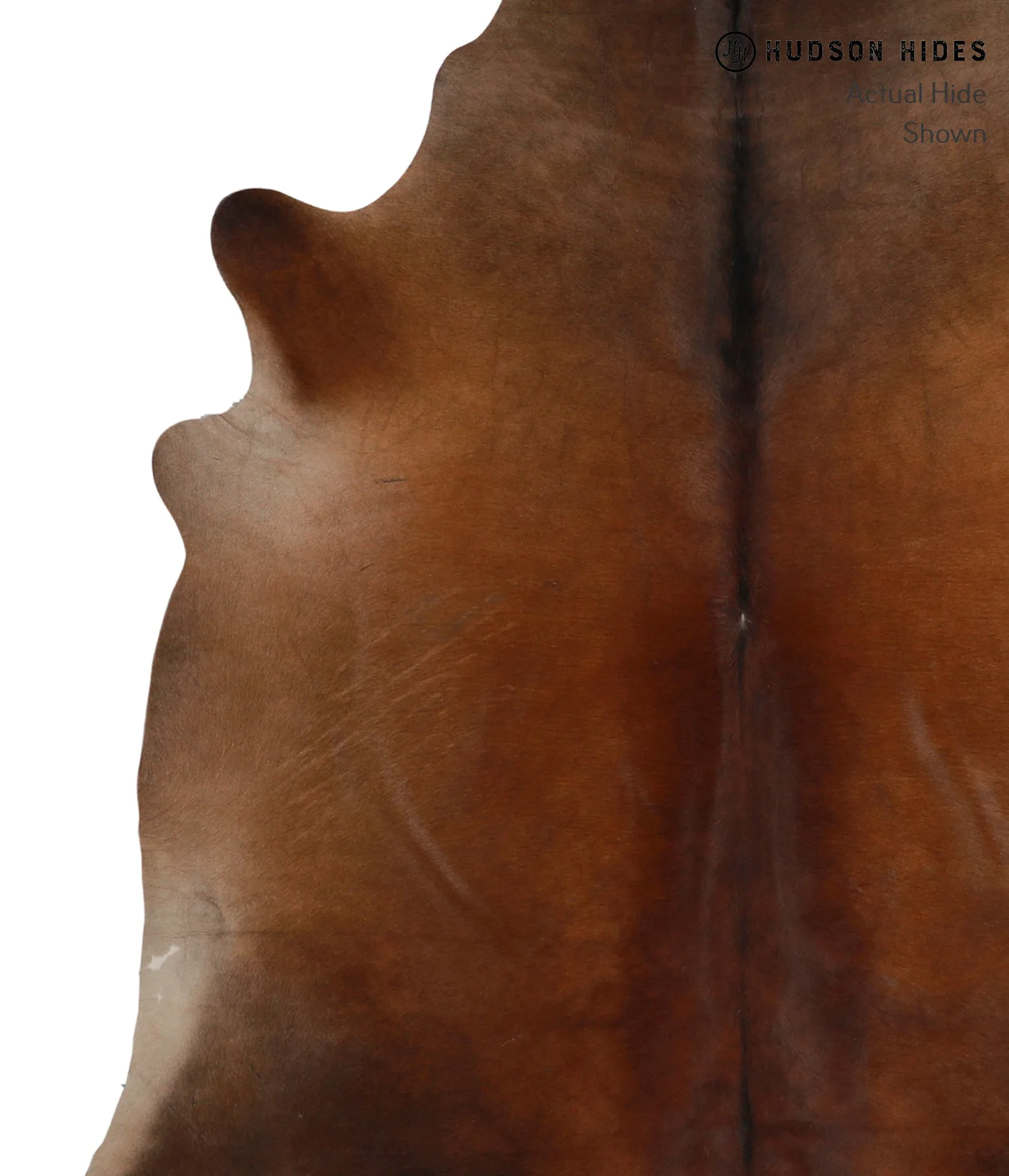 Warm Caramel X-Large Brazilian Cowhide Rug 6'7"H x 6'6"W #83201 by Hudson Hides