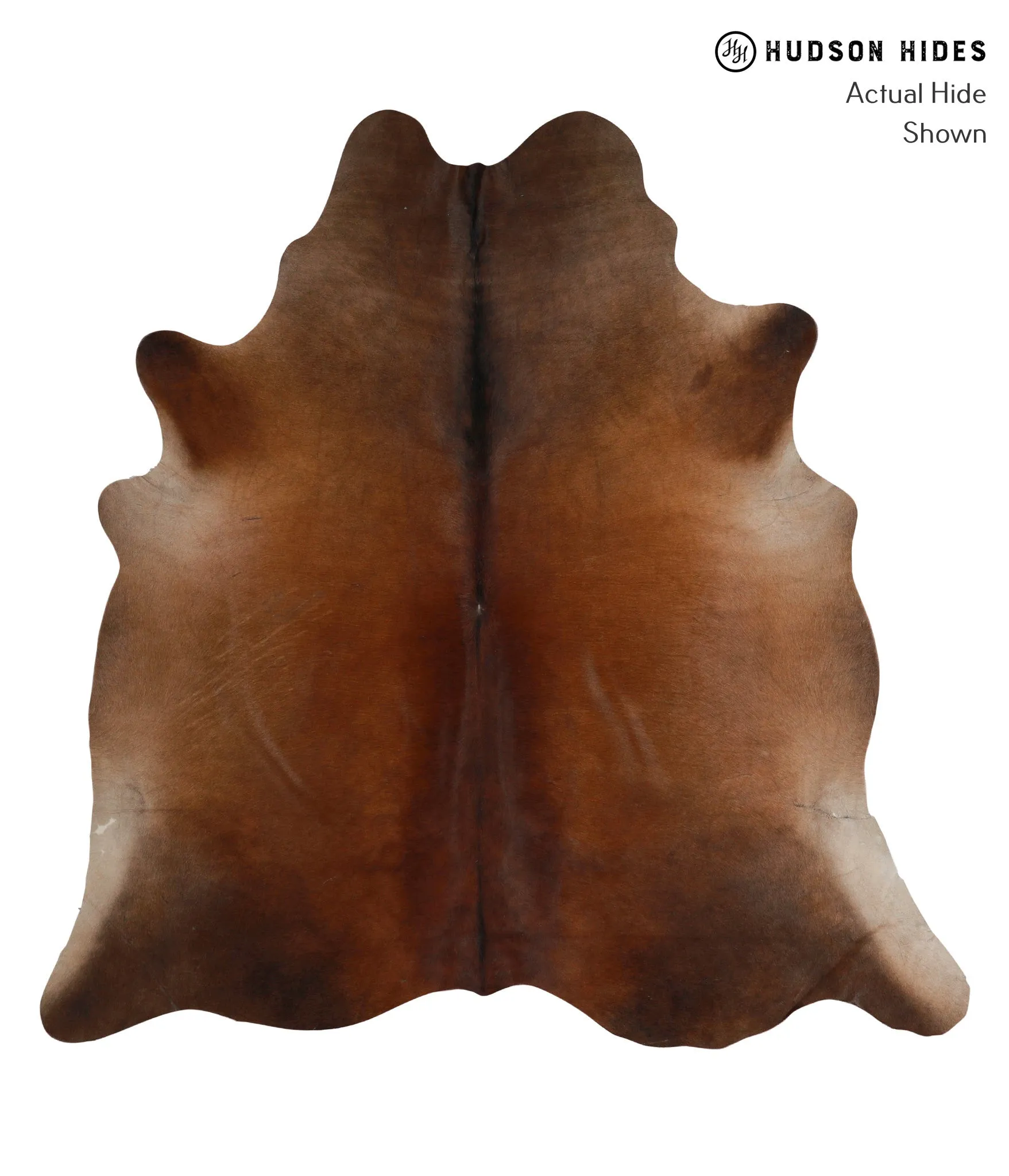 Warm Caramel X-Large Brazilian Cowhide Rug 6'7"H x 6'6"W #83201 by Hudson Hides