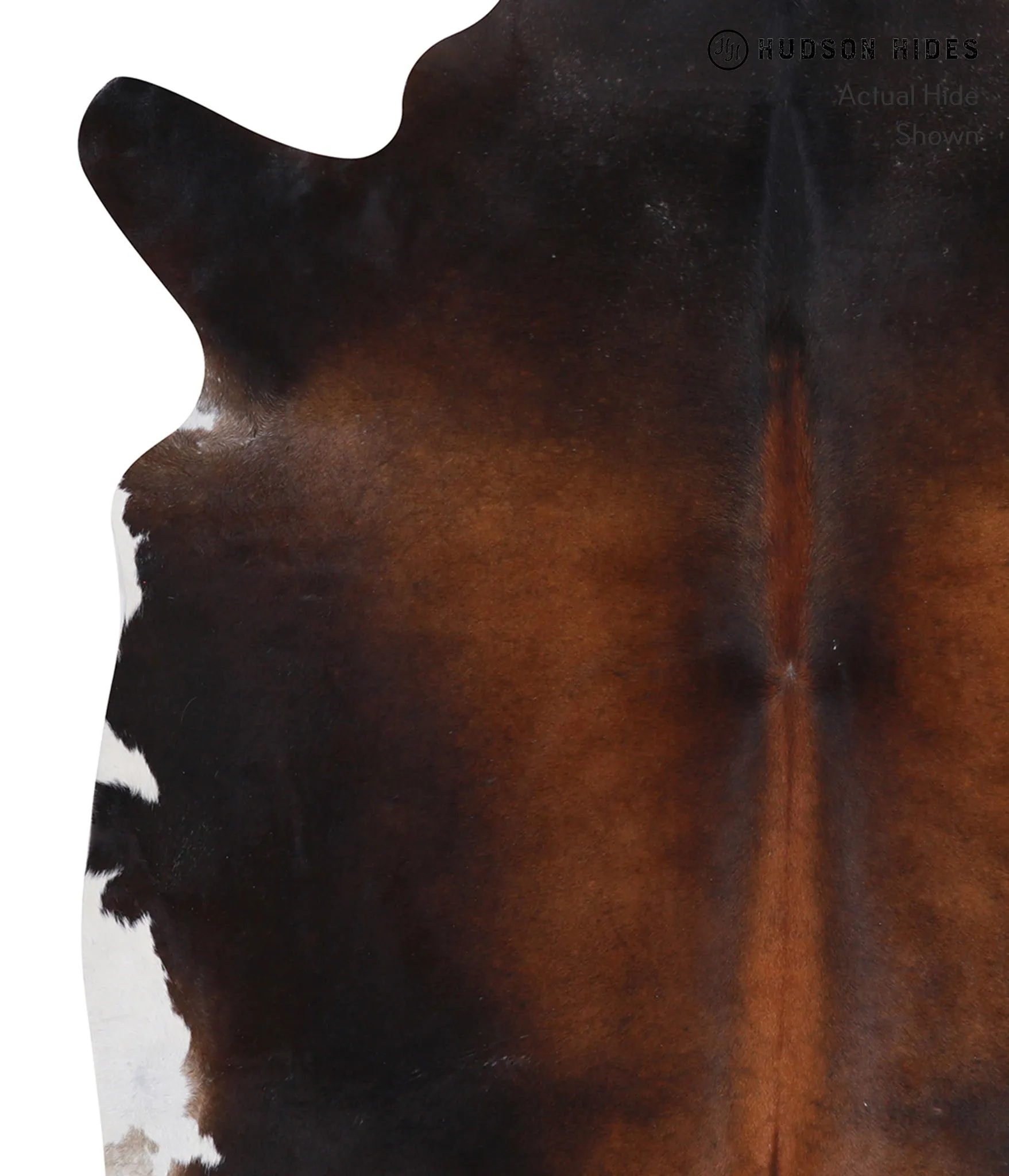 Warm Caramel X-Large Brazilian Cowhide Rug 6'9"H x 6'2"W #A6846 by Hudson Hides