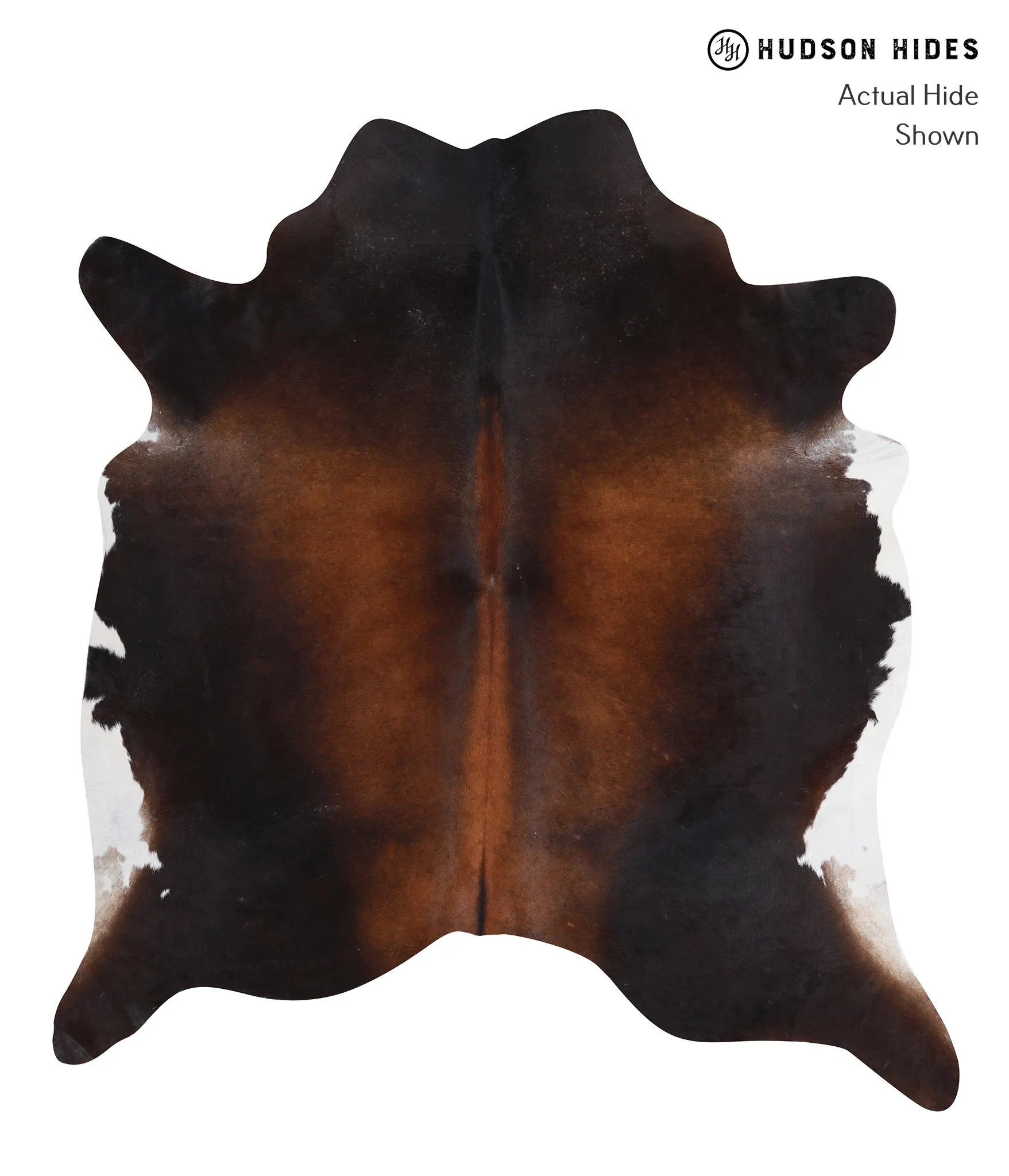 Warm Caramel X-Large Brazilian Cowhide Rug 6'9"H x 6'2"W #A6846 by Hudson Hides