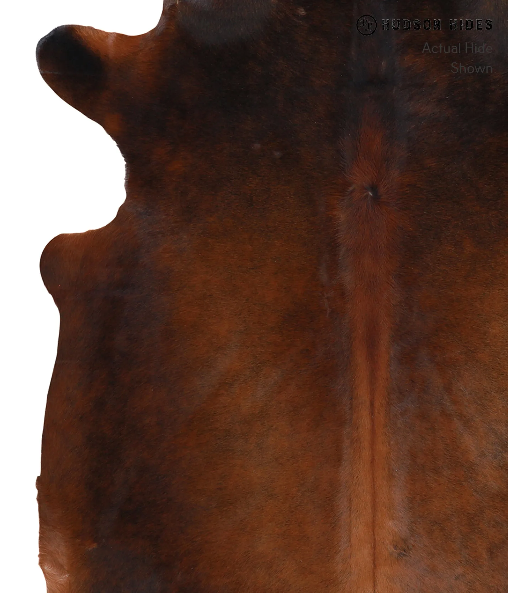 Warm Caramel X-Large Brazilian Cowhide Rug 7'2"H x 6'1"W #A4260 by Hudson Hides