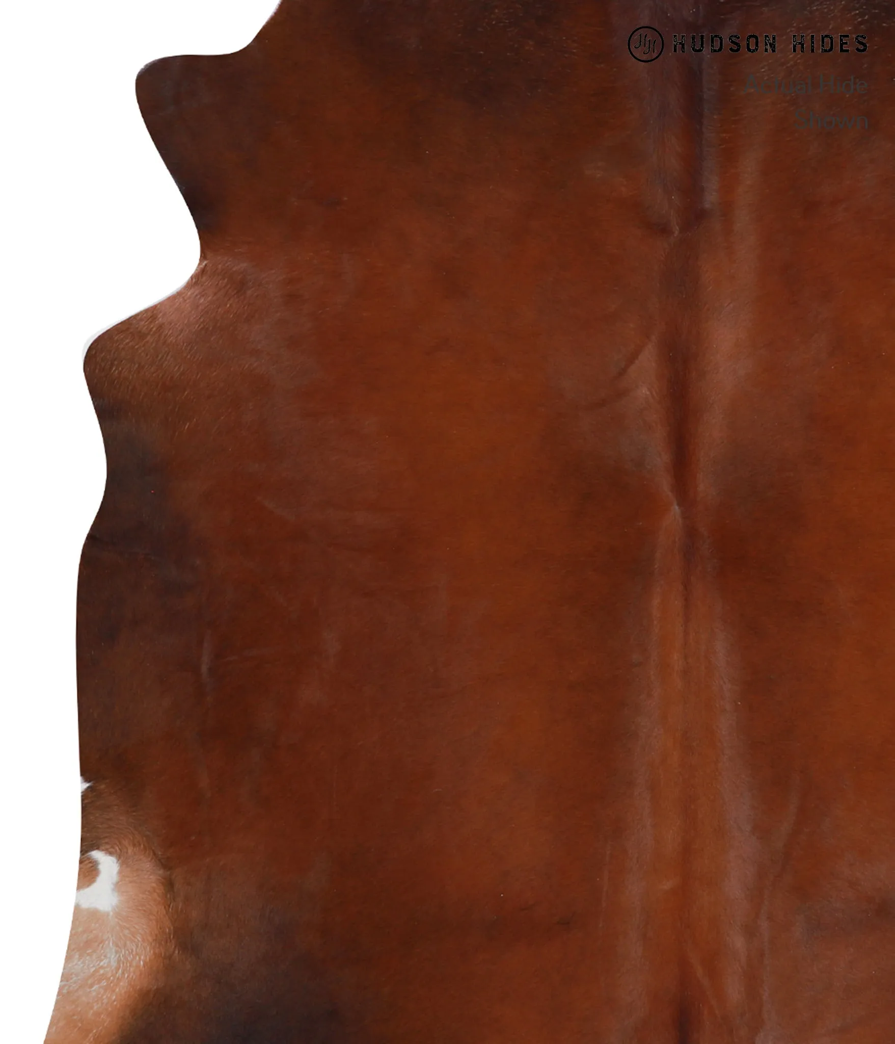 Warm Caramel X-Large Brazilian Cowhide Rug 7'4"H x 6'8"W #A7951 by Hudson Hides