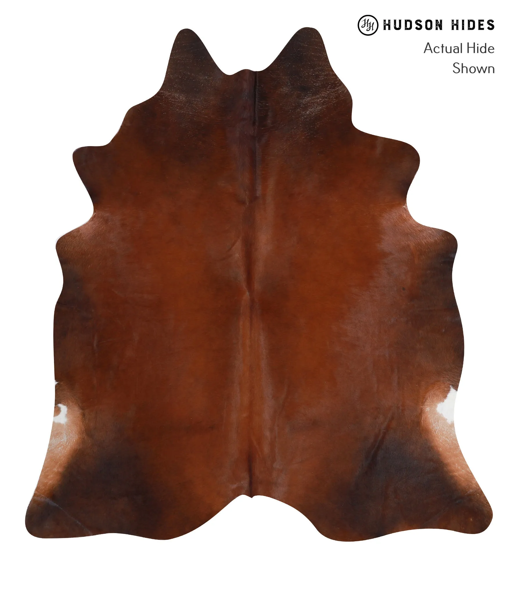 Warm Caramel X-Large Brazilian Cowhide Rug 7'4"H x 6'8"W #A7951 by Hudson Hides