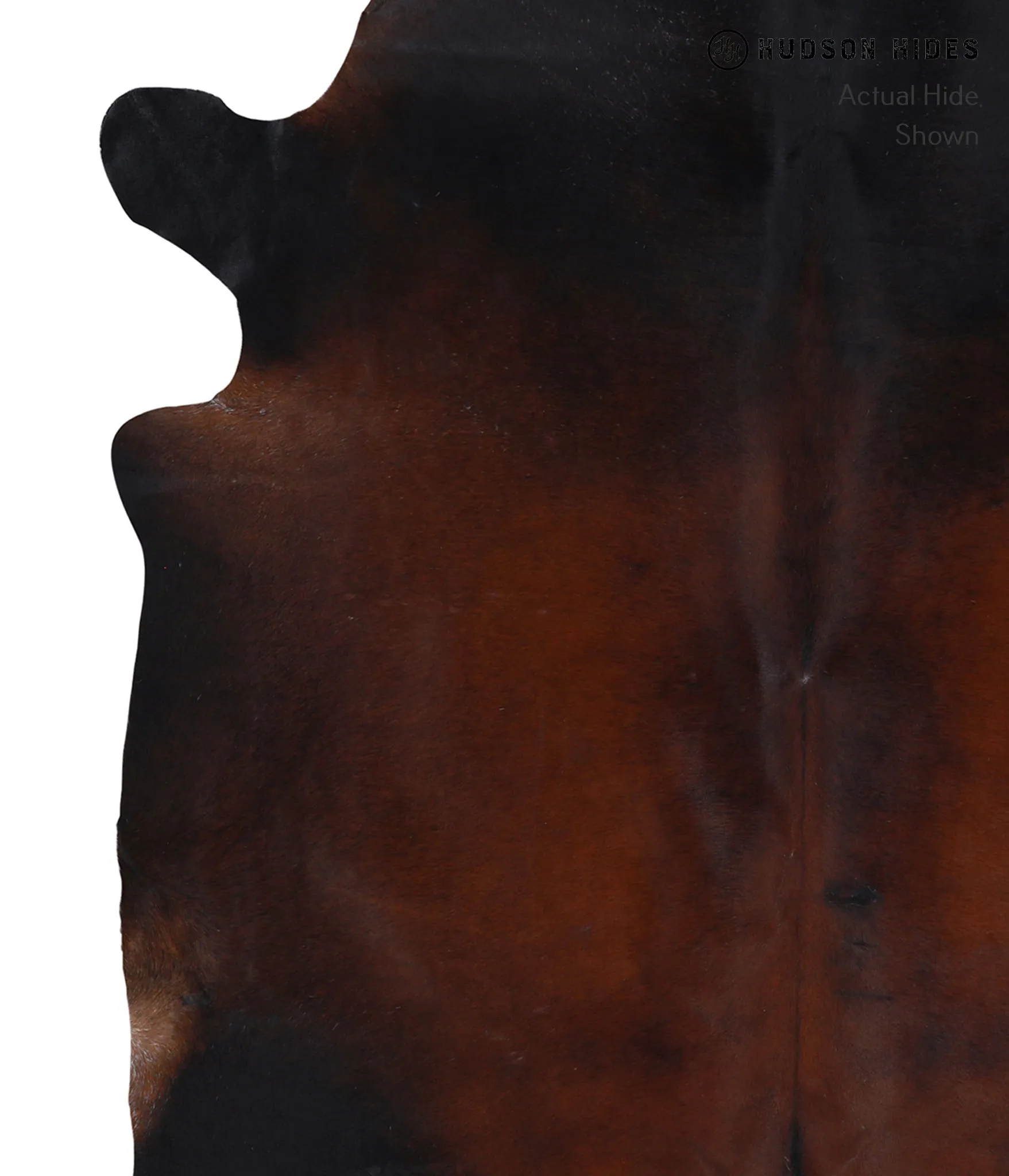 Warm Caramel X-Large Brazilian Cowhide Rug 7'5"H x 6'4"W #A4167 by Hudson Hides