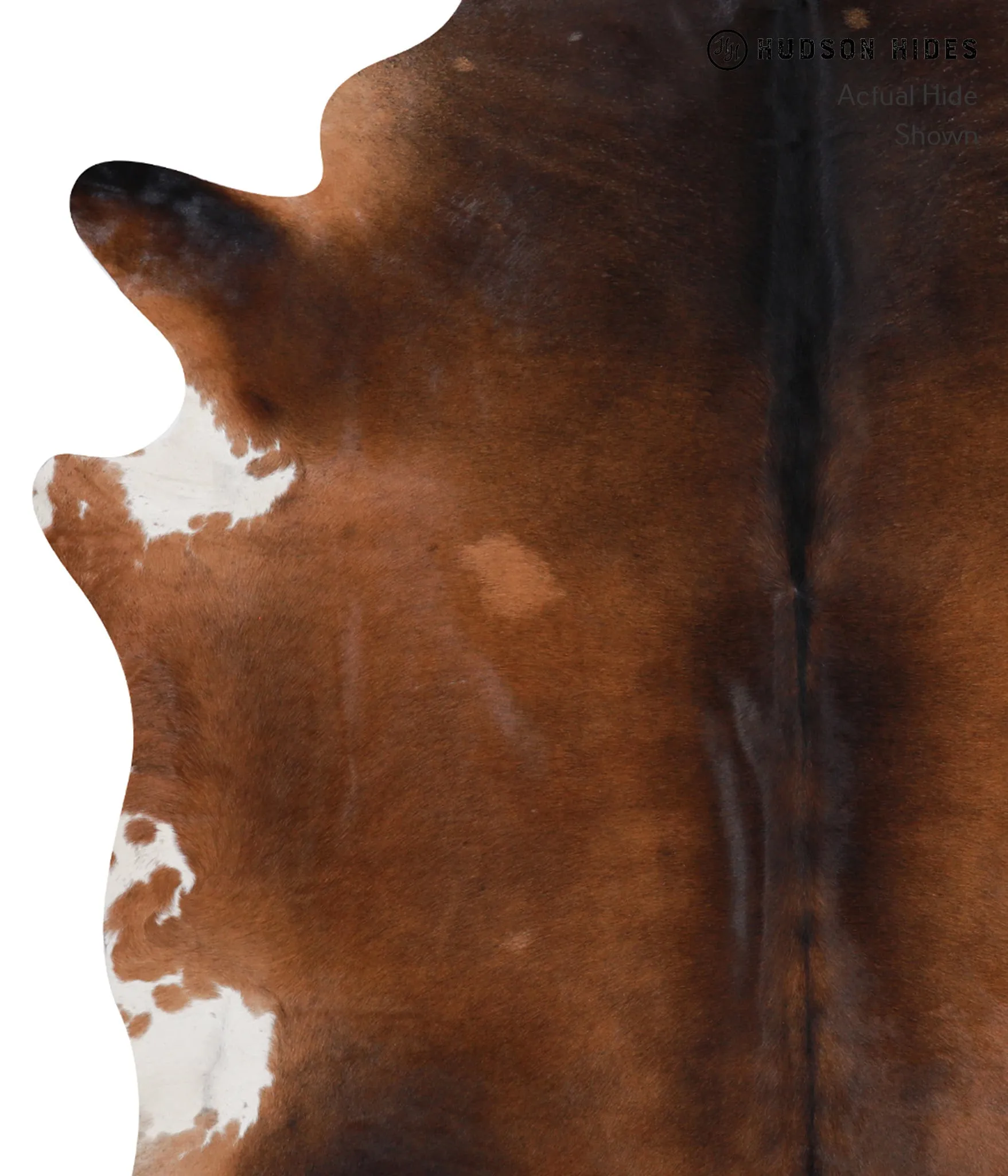 Warm Caramel XX-Large Brazilian Cowhide Rug 7'10"H x 6'11"W #A7484 by Hudson Hides