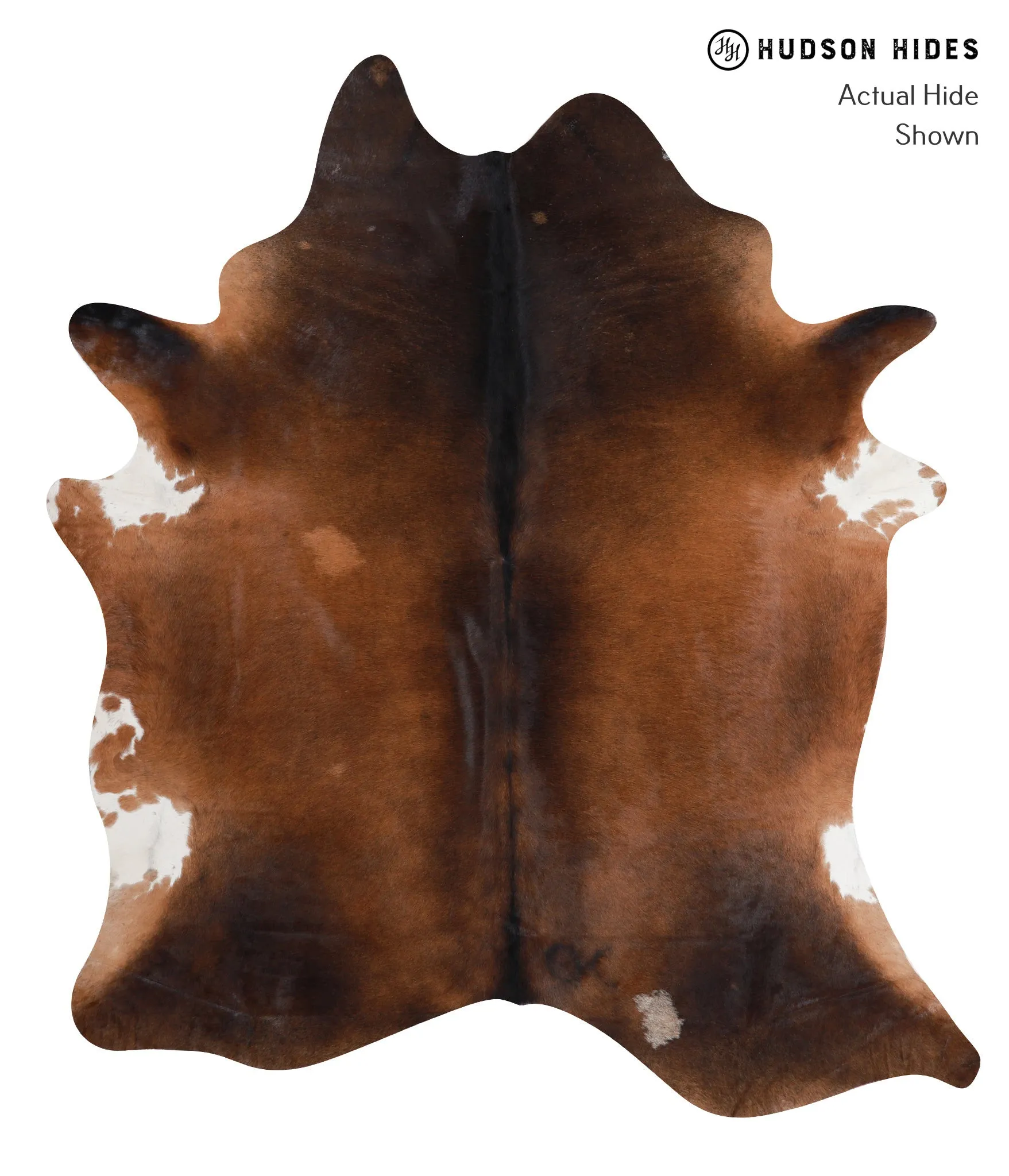 Warm Caramel XX-Large Brazilian Cowhide Rug 7'10"H x 6'11"W #A7484 by Hudson Hides