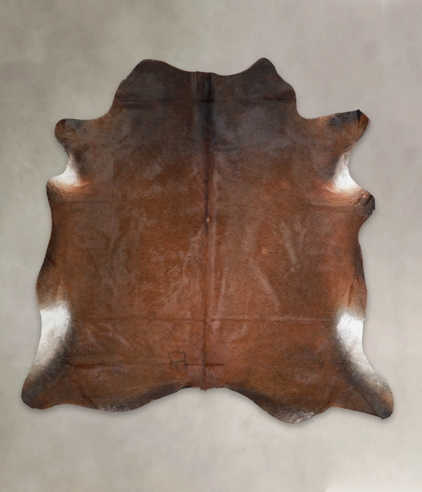 Warm Caramel XX-Large Brazilian Cowhide Rug 7'1"H x 7'1"W #A23844 by Hudson Hides