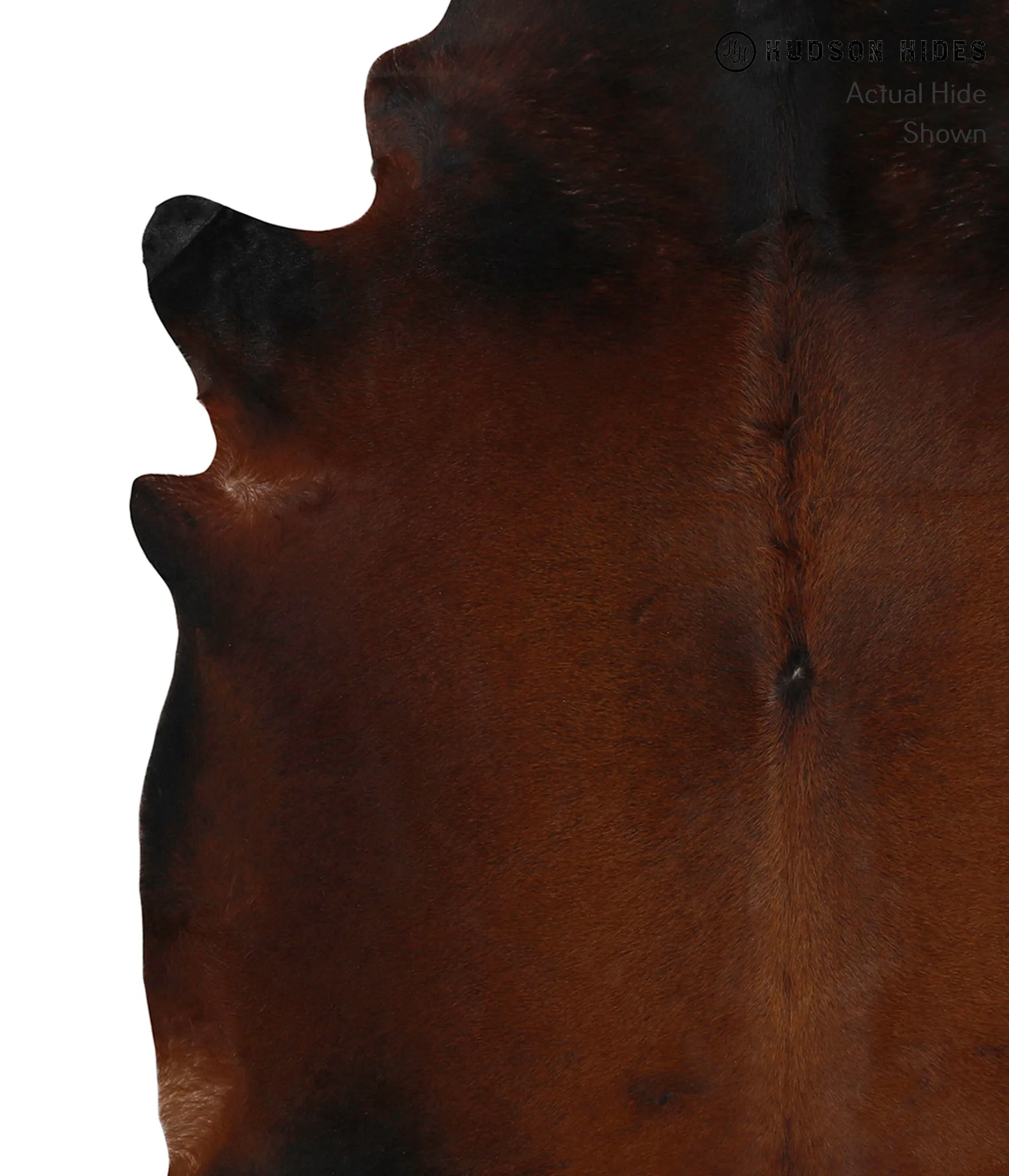 Warm Caramel XX-Large Brazilian Cowhide Rug 7'3"H x 6'11"W #85169 by Hudson Hides