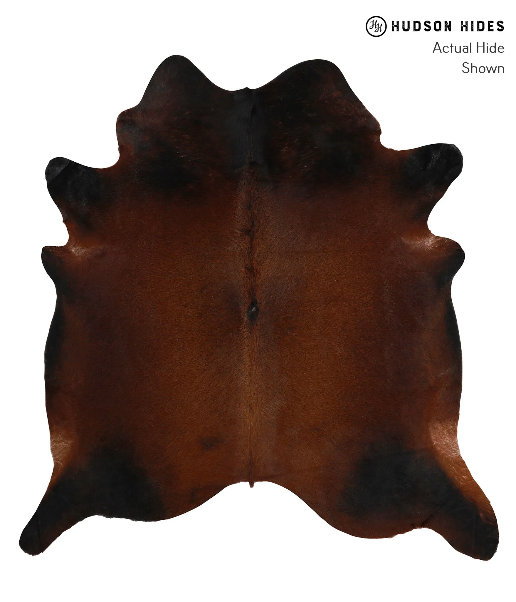 Warm Caramel XX-Large Brazilian Cowhide Rug 7'3"H x 6'11"W #85169 by Hudson Hides