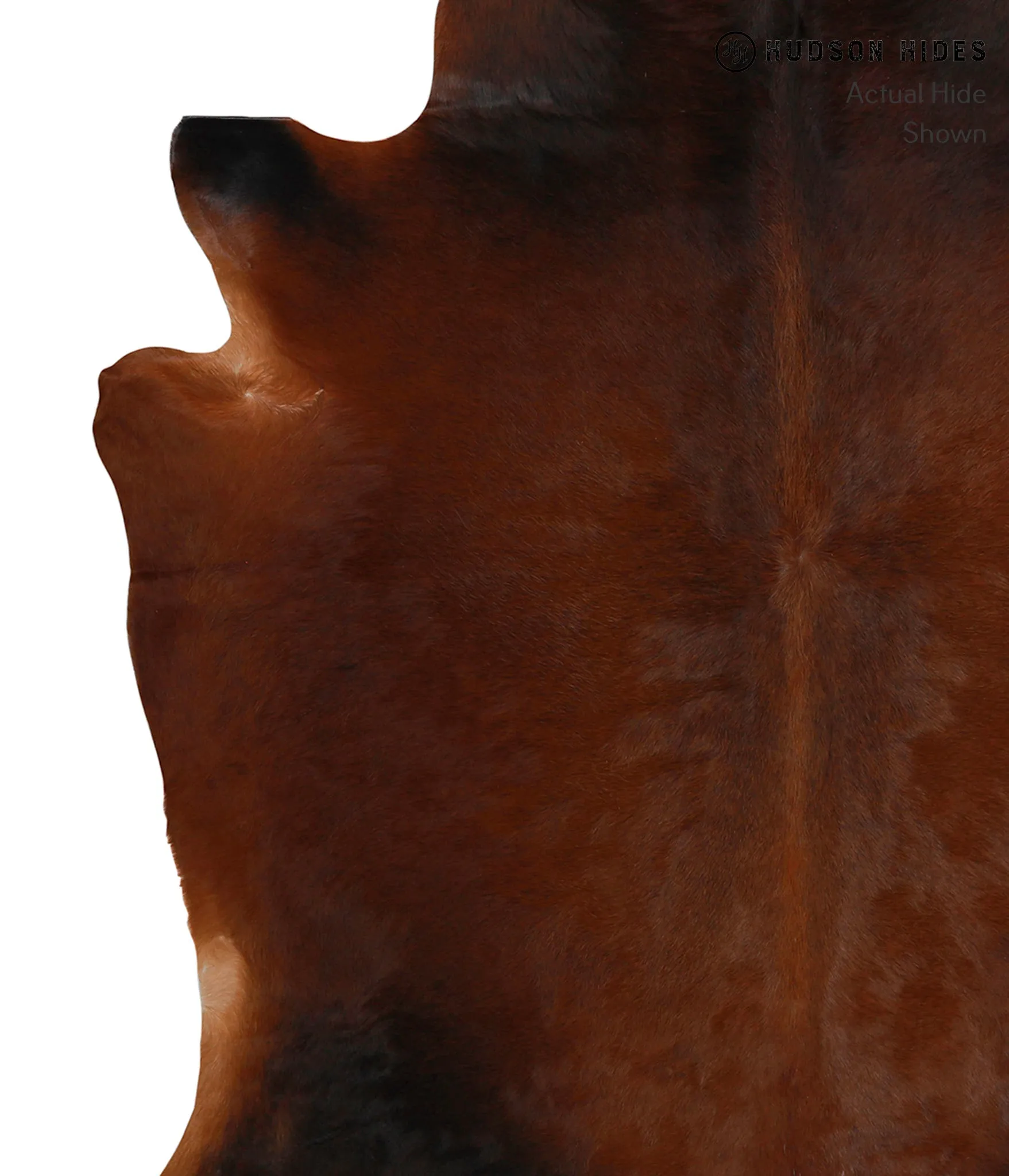 Warm Caramel XX-Large Brazilian Cowhide Rug 7'4"H x 6'11"W #84189 by Hudson Hides