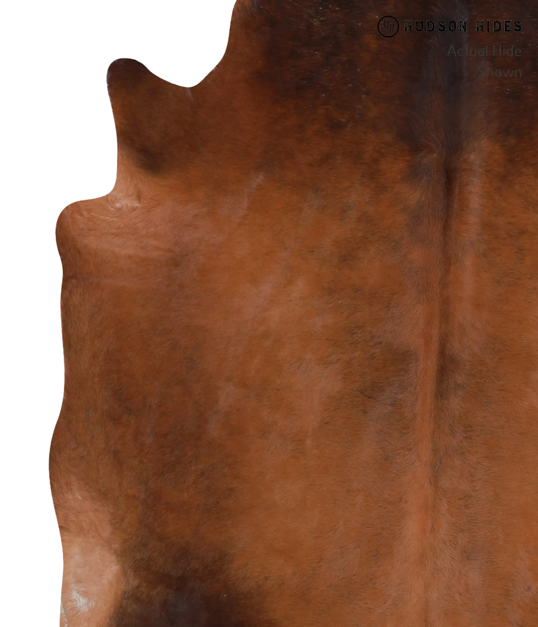 Warm Caramel XX-Large Brazilian Cowhide Rug 7'8"H x 6'10"W #A6916 by Hudson Hides